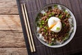 Japanese spicy beef Soboro with egg benedict, rice and green onion close-up. horizontal top view Royalty Free Stock Photo