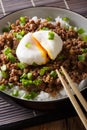 Japanese spicy beef Soboro with egg benedict, rice and green onion close-up. vertical