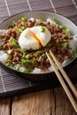 Japanese spicy minced meat Soboro with egg, rice and green onion
