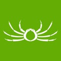 Japanese spider crab icon green