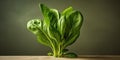 Japanese Spinach Garden, Nutritional Powerhouse, Ingredient for Delicious Recipes