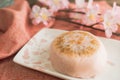 Japanese spring sweet food, sakura flavor dumpling Royalty Free Stock Photo