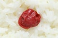 Japanese steamed rice with pickled plum #2