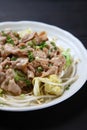 Japanese stirfried meat and vegetables