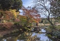 Japanese stone bridge and autumn red maple on the pond of Rikugien Park in Bunkyo district, north of Tokyo