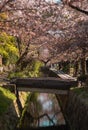 A small japanese stone bridge