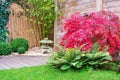 Japanese stone lantern and red maple tree