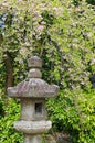 Japanese stone lantern under Sakura cherry blossom trees Royalty Free Stock Photo