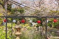 Japanese stone and paper lanterns in front of the pond of Atago shrine with cherry blossoms.