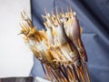 Japanese street food, Sakana Shioyaki is salt fish grilled over charcoal grill Royalty Free Stock Photo