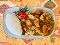 Japanese style curry, fried chicken tenders, carrots and potatoes, with rice. Top view. Royalty Free Stock Photo
