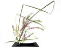 Japanese style flower arrangement ikebana