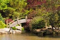 Japanese Style Garden with Arch Bridge