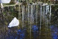 Pond water surface Royalty Free Stock Photo