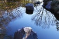 Pond water surface Royalty Free Stock Photo