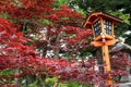Japanese Style Lamp during Autumn Season
