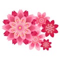 Japanese style multi-layer petal Abstract deformation pink vector sakura Blossom