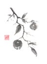 Japanese style original sumi-e apple branch ink painting.