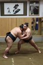 Japanese sumo at sumo training Royalty Free Stock Photo