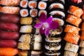 Japanese sushi dish Royalty Free Stock Photo