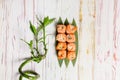 Japanese sushi roll with salmon and shrimps on bamboo leaves, Bamboo plant near dish