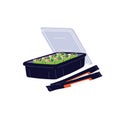 Japanese sushi rolls box, takeaway container. Asian delivery food with chopsticks. Delivered Japan vegetarian green maki