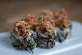 Japanese sushi with tuna and algae. Close up of sushi rolls on white plate. Royalty Free Stock Photo
