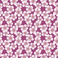 Japanese Sweet Cherry Blossom Fall Vector Seamless Pattern