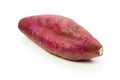 Japanese sweet potato