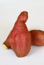 Japanese sweet potato