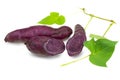 Japanese sweet purple potato on white background, Okinawa Royalty Free Stock Photo