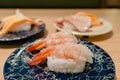 Japanese sweet shrimp sushi Royalty Free Stock Photo