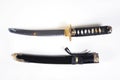 Japanese sword with a sheath