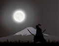 Japanese Swordsman, Fujiyama, Under The Moonlight