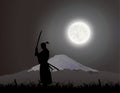 A Japanese swordsman, under the Fujiyama