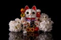 Japanese symbol of good luck maneki neko cat framed by white lilac flowers on a black background