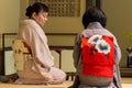 Japanese tea ceremony masters during ceremonial preparation and presentation of powdered green tea matcha Royalty Free Stock Photo