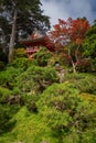 Japanese Tea Garden, Golden Gate Park, San Francisco, California. Royalty Free Stock Photo