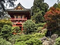 Japanese Tea Garden, Golden Gate Park, San Francisco, California, CA, USA Royalty Free Stock Photo