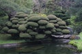 Japanese Tea Garden in Golden Gate Park in San Francisco, California, the USA Royalty Free Stock Photo