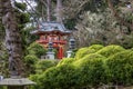 The Japanese Tea Garden with lush green trees, plants and grass and an orange pergola at Golden Gate Park in San Francisco Royalty Free Stock Photo