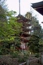 Japanese Tea Garden Pagoda Royalty Free Stock Photo