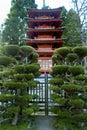 Japanese Tea Garden Pagoda Royalty Free Stock Photo