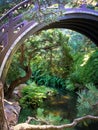 Japanese Tea Garden Pond and Bridge Royalty Free Stock Photo