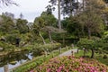 The Japanese Tea Garden with a pond surrounded by lush green trees, plants and grass at Golden Gate Park in San Francisco