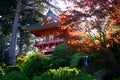 Japanese Tea Garden, San Francisco Royalty Free Stock Photo