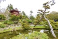 Japanese Tea Garden, San Francisco Royalty Free Stock Photo