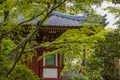 Japanese Tea House with Sloping Roof