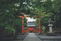Japanese temple with japanese maple tree leaves in Kyoto vintage film style Royalty Free Stock Photo