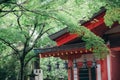 Japanese temple with japanese maple tree leaves in Kyoto vintage film style Royalty Free Stock Photo